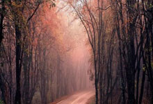 圣诞快乐电脑桌面玩法全攻略(让你的电脑桌面瞬间变身圣诞仙境)