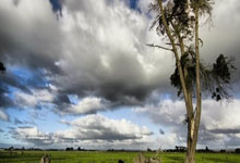 如何解决惠普电脑直接开不了机问题（原因分析与解决方法，）