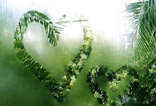 圣诞快乐电脑桌面玩法全攻略(让你的电脑桌面瞬间变身圣诞仙境)