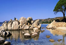 圣诞快乐电脑桌面玩法全攻略(让你的电脑桌面瞬间变身圣诞仙境)